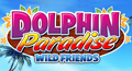 Dolphin Paradise: Wild Friends